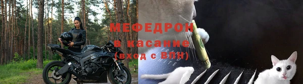 стаф Липки