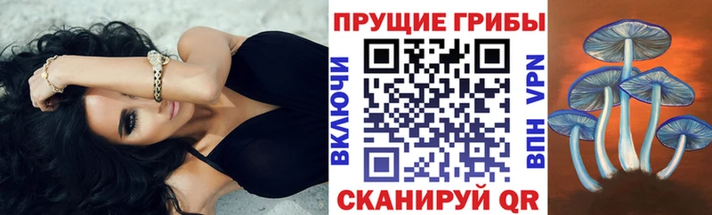 Купить  Ульяновск  Галлюциногенные грибы Psilocybe 